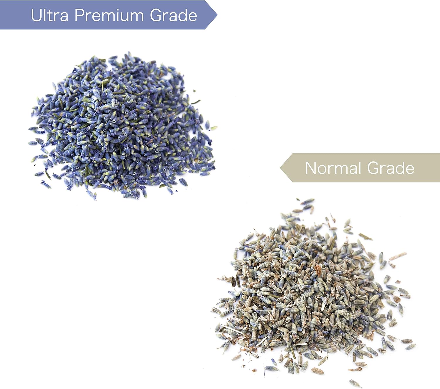 8 Cups Lavender in Large Glass Bottle Highland Dried Lavender Buds
