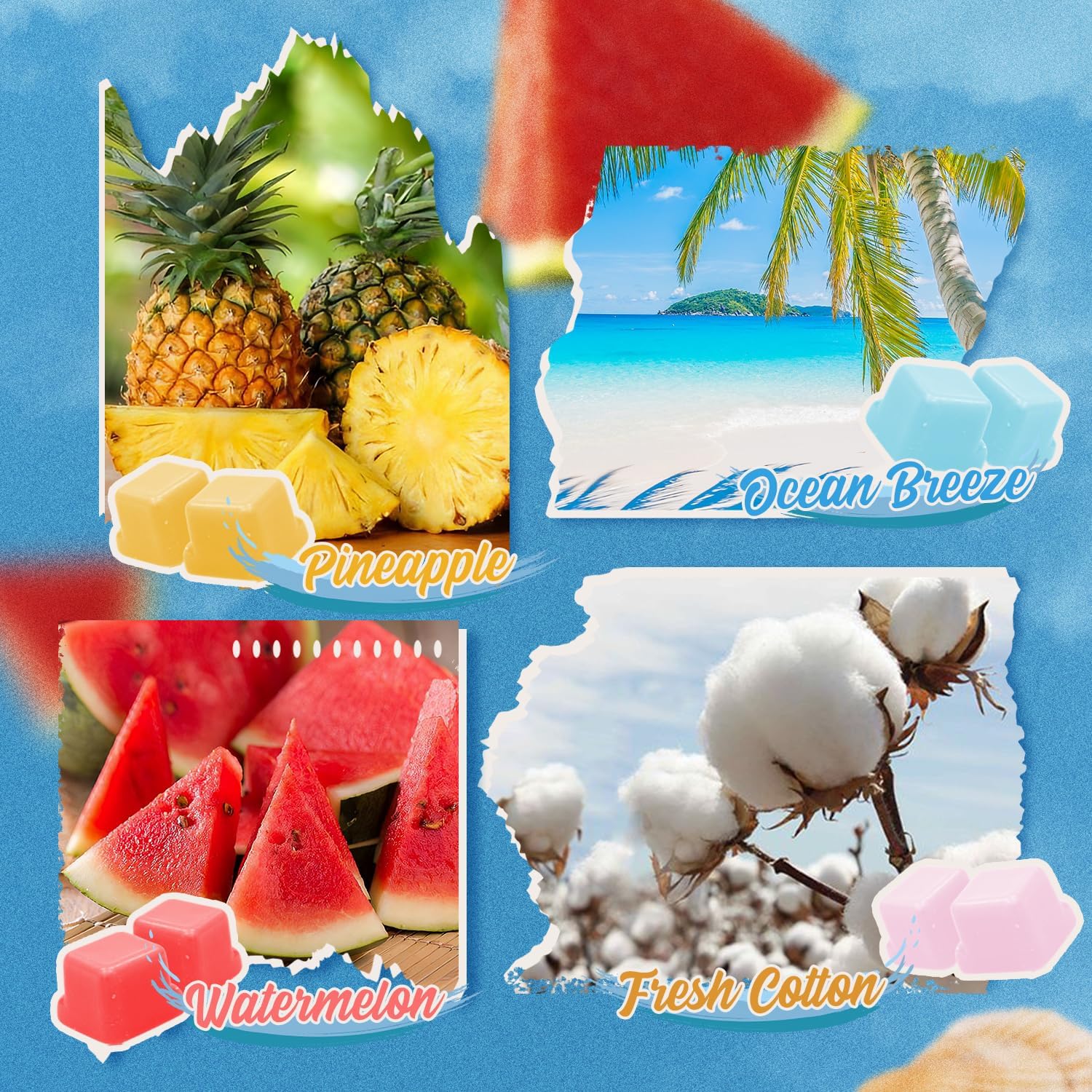 SNOWSEN Summer Scented Wax Melts Set