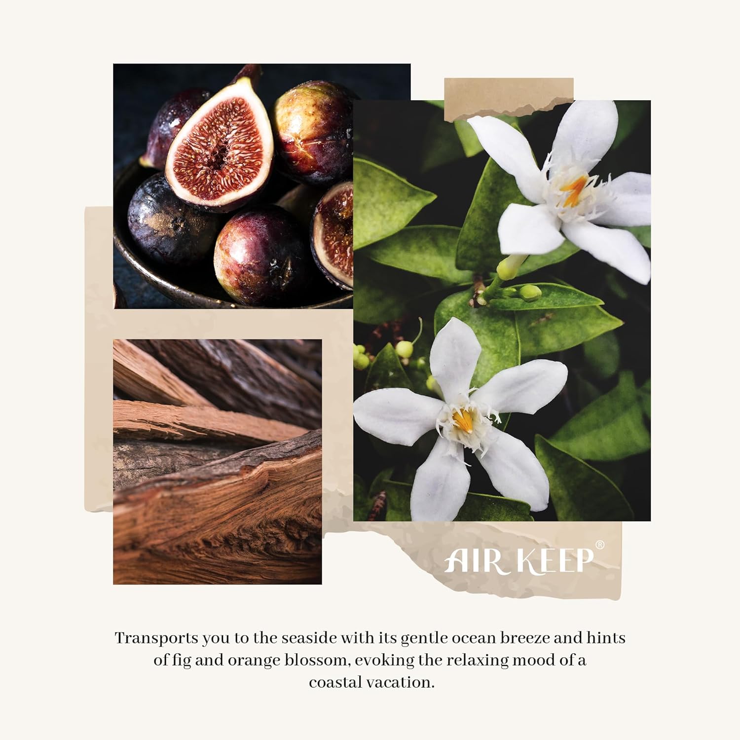 Airkeep Reed Diffuser Set Ocean Mist Sea Salt