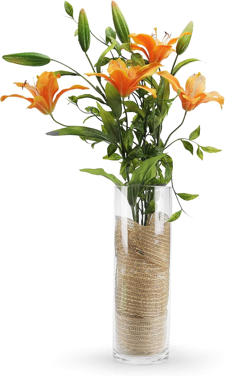 WGVI Clear Glass Cylinder Vases 6 Pcs 4 W x 12 H