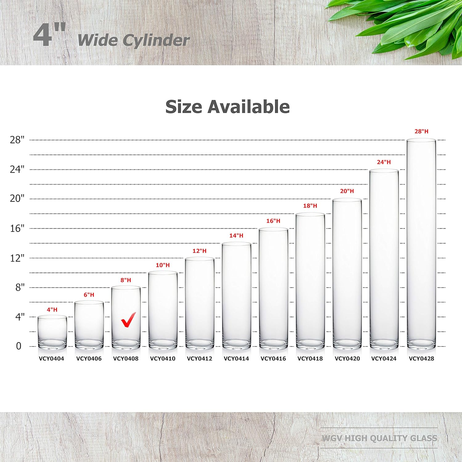 WGVI Thick Weighted Glass Cylinder Vases 6 Pcs