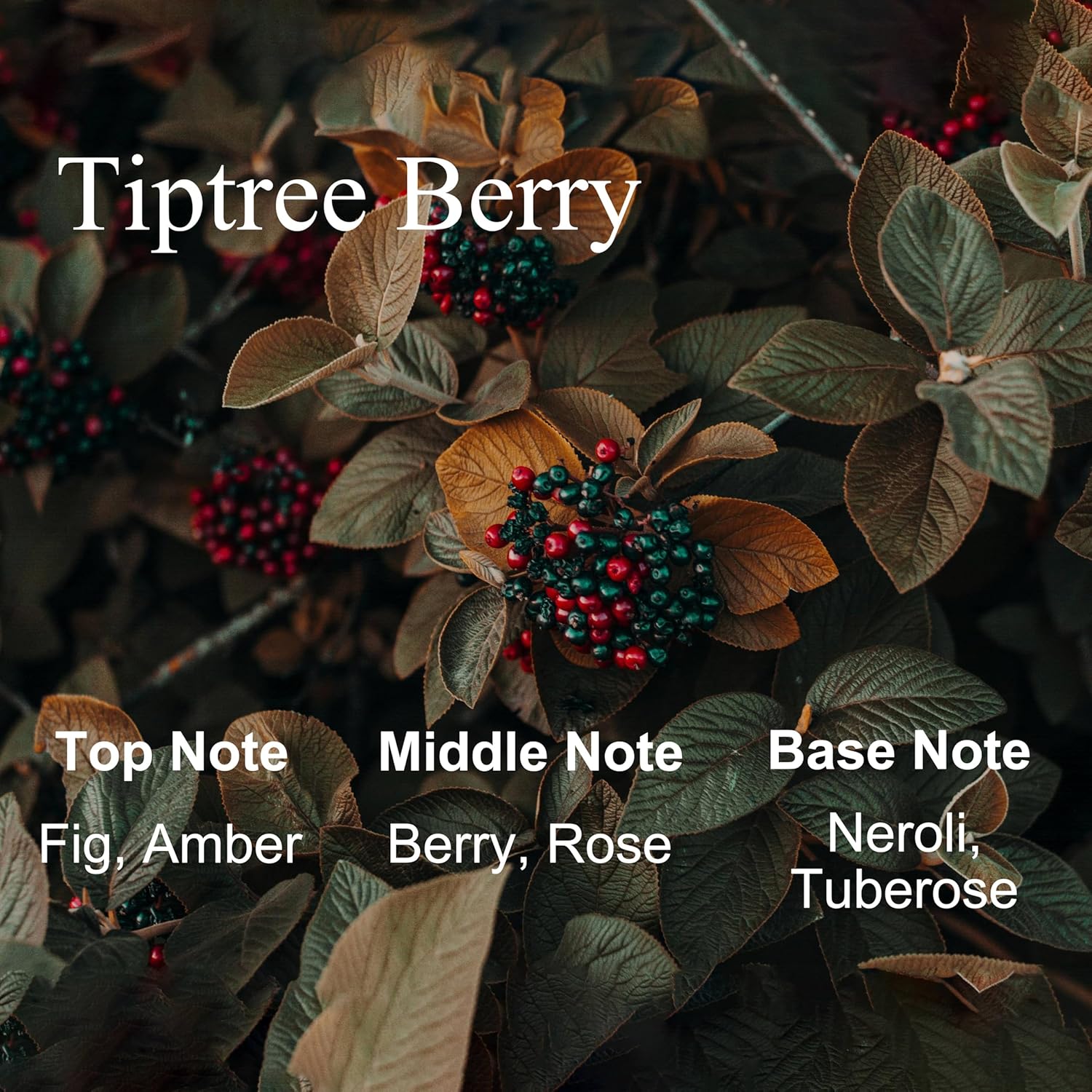 Hotel Collection Diffuser Oil 500Ml Tiptree Berry